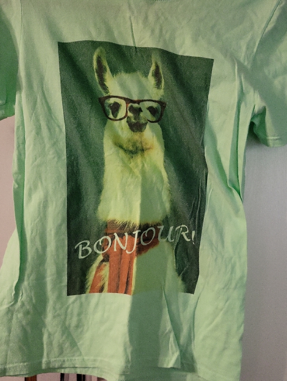 Llama Tee